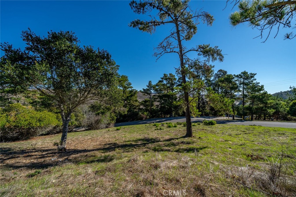0 Pickwick Lane Property Photo 7