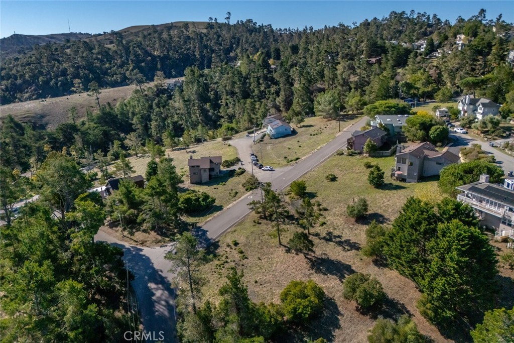 0 Pickwick Lane Property Photo 11