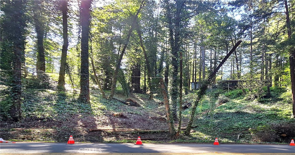 18176 Hwy 116 Property Photo 1