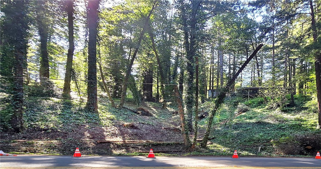 18176 Hwy 116 Property Photo 2