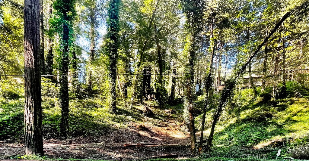 18176 Hwy 116 Property Photo 3