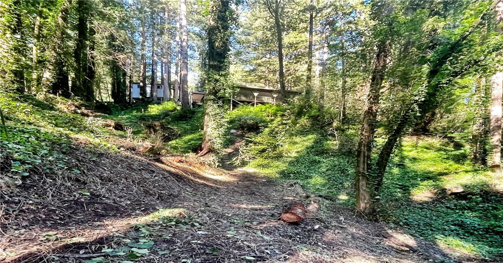 18176 Hwy 116 Property Photo 4