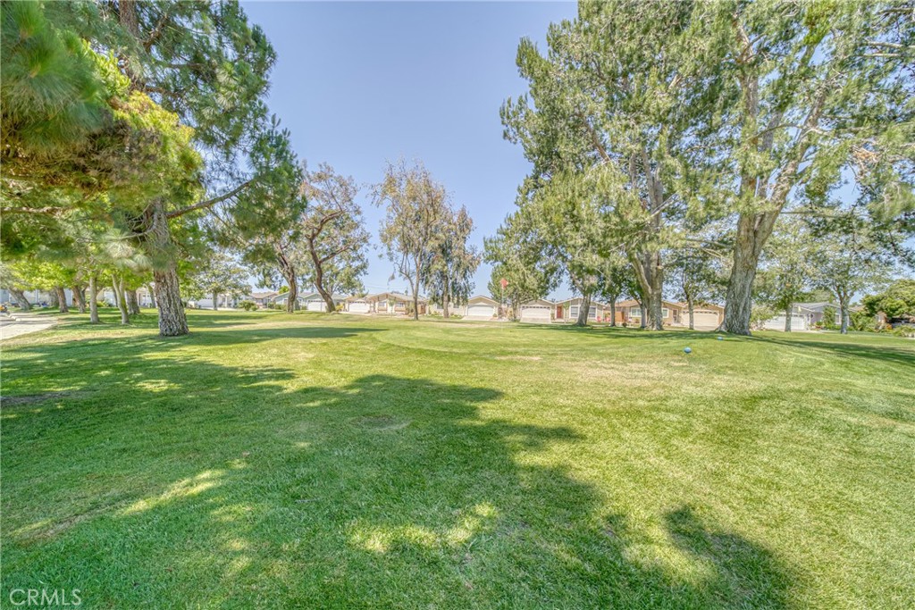 2170 Avenida Redondo Property Photo 41