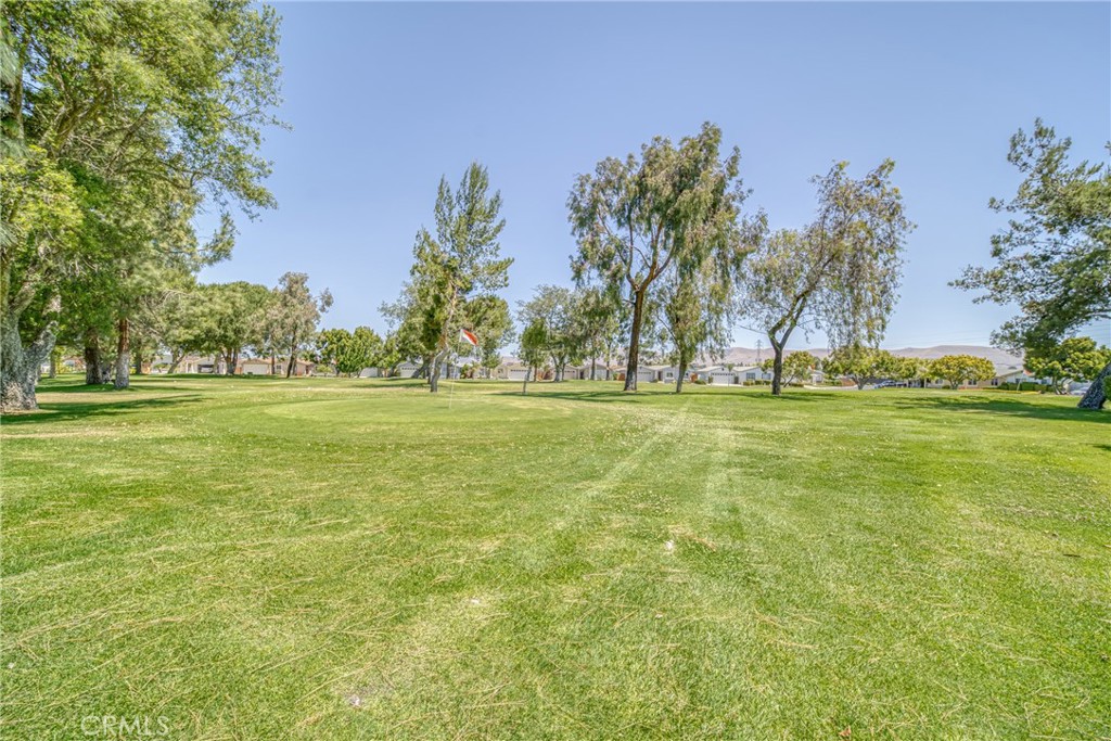 2170 Avenida Redondo Property Photo 42