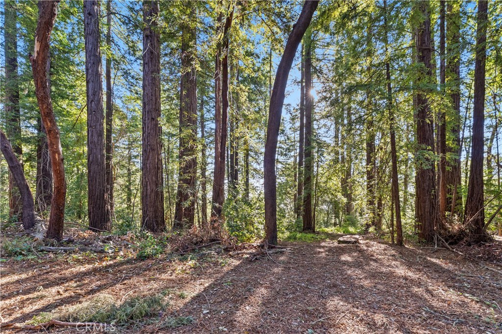 4419 Trout Gulch Property Photo 2