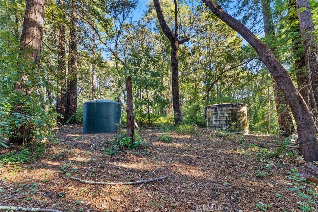 4419 Trout Gulch Property Photo 4
