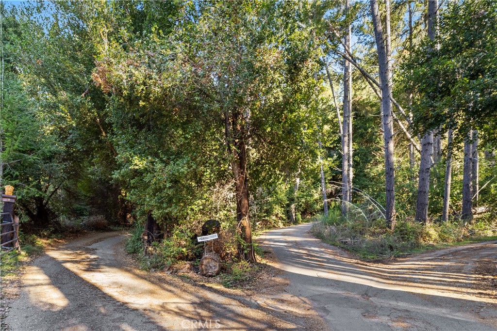 4419 Trout Gulch Property Photo 5
