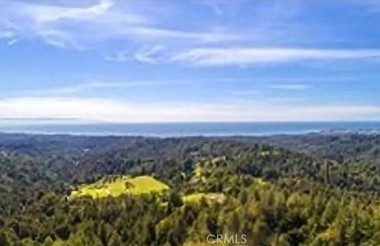 4419 Trout Gulch Property Photo 6