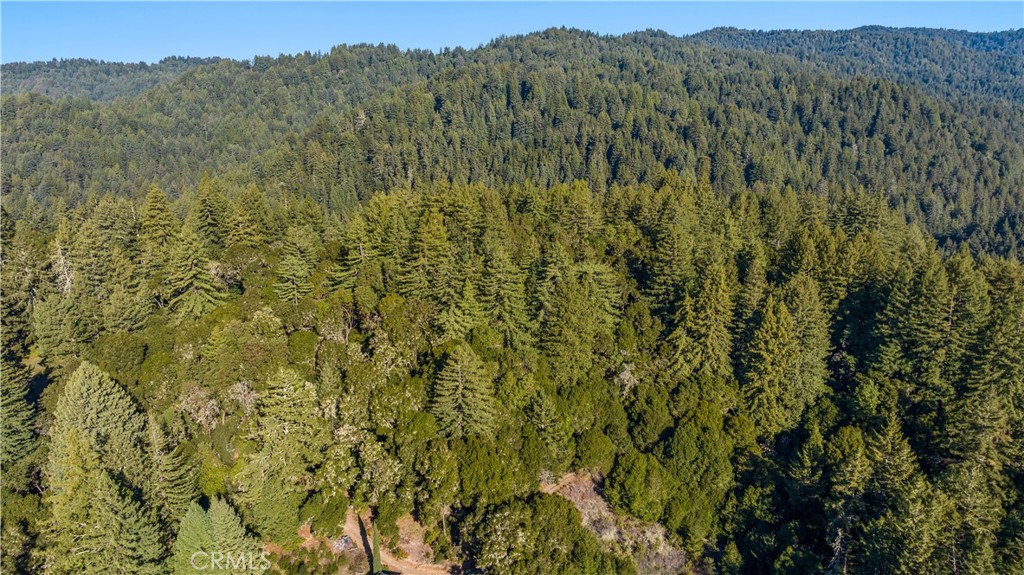 4419 Trout Gulch Property Photo 7