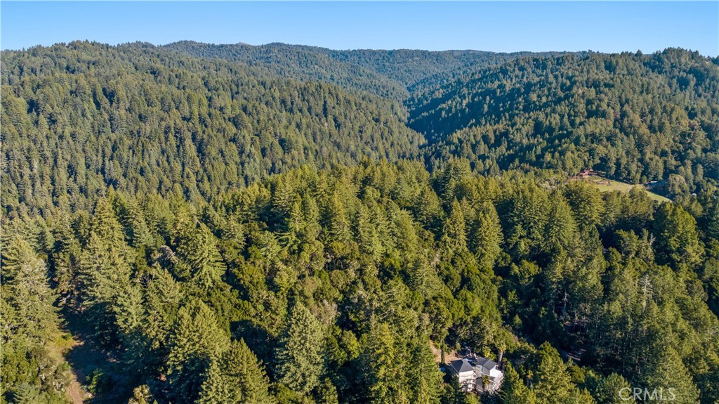 4419 Trout Gulch Property Photo 8