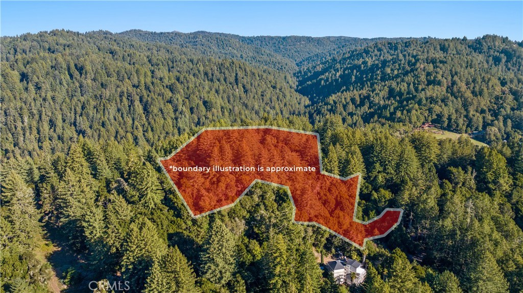 4419 Trout Gulch Property Photo 9