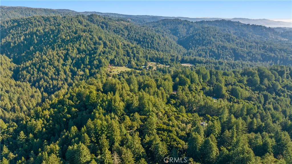 4419 Trout Gulch Property Photo 10