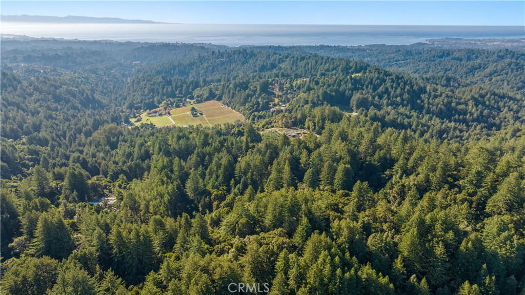 4419 Trout Gulch Property Photo 11