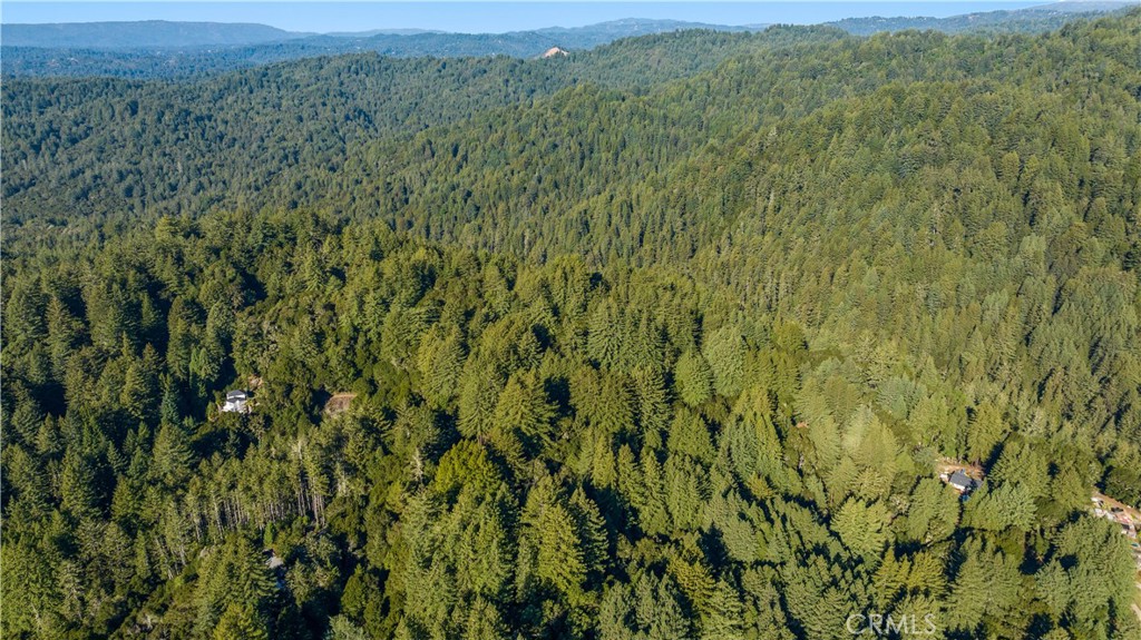 4419 Trout Gulch Property Photo 13