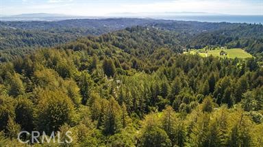 4419 Trout Gulch Property Photo 14