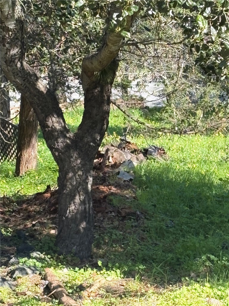 0 Spencer Property Photo 1