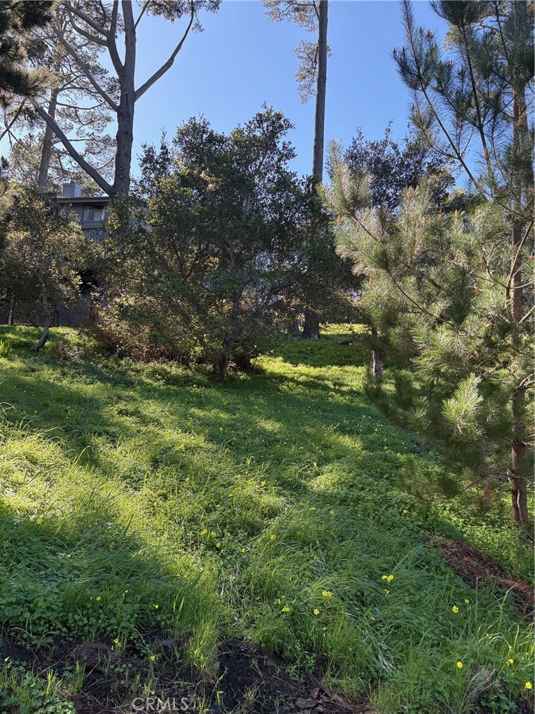 0 Spencer Property Photo 2