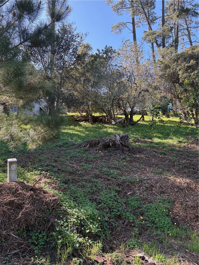 0 Spencer Property Photo 3