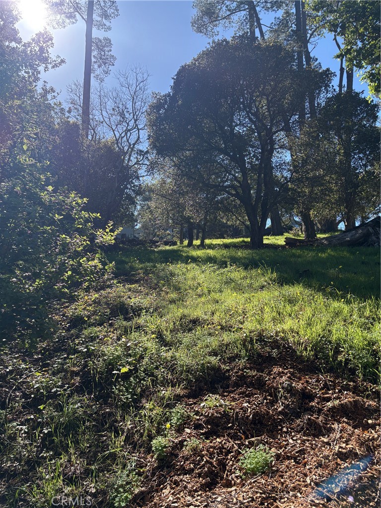 0 Spencer Property Photo 4