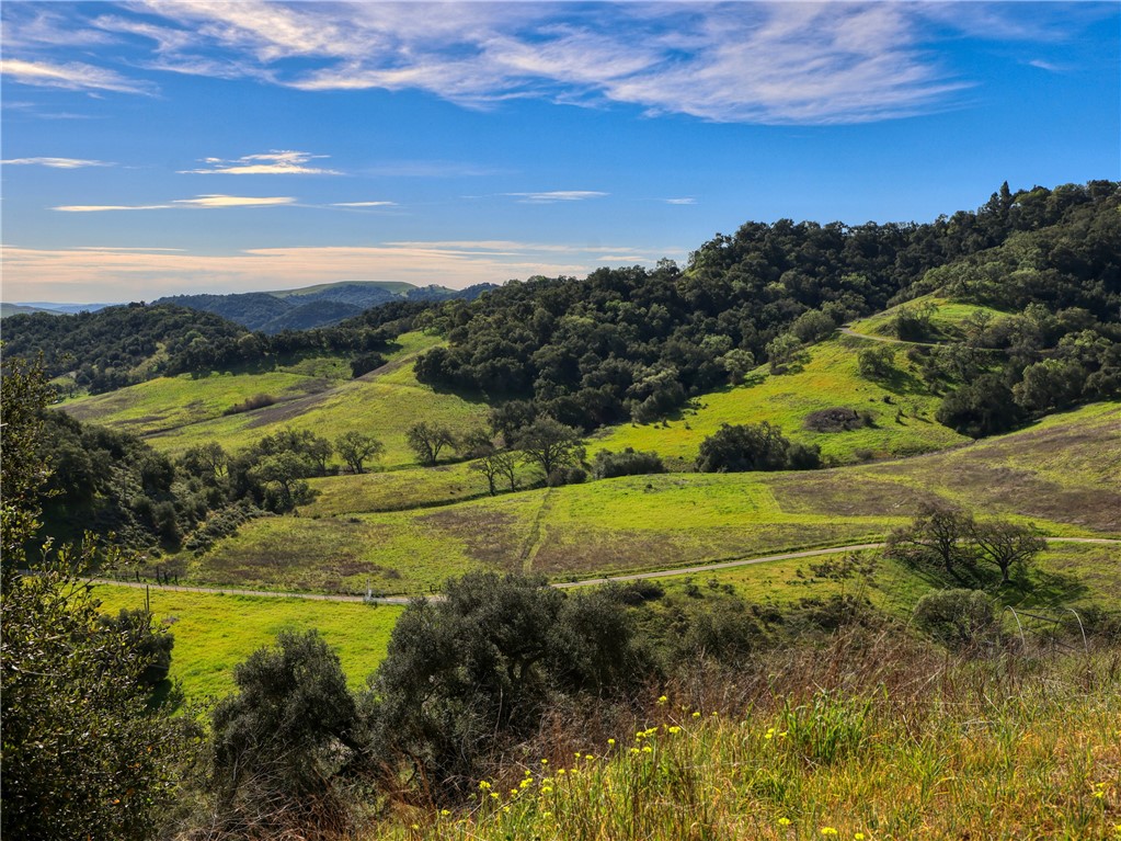 7840 Cougar Ridge Property Photo 48