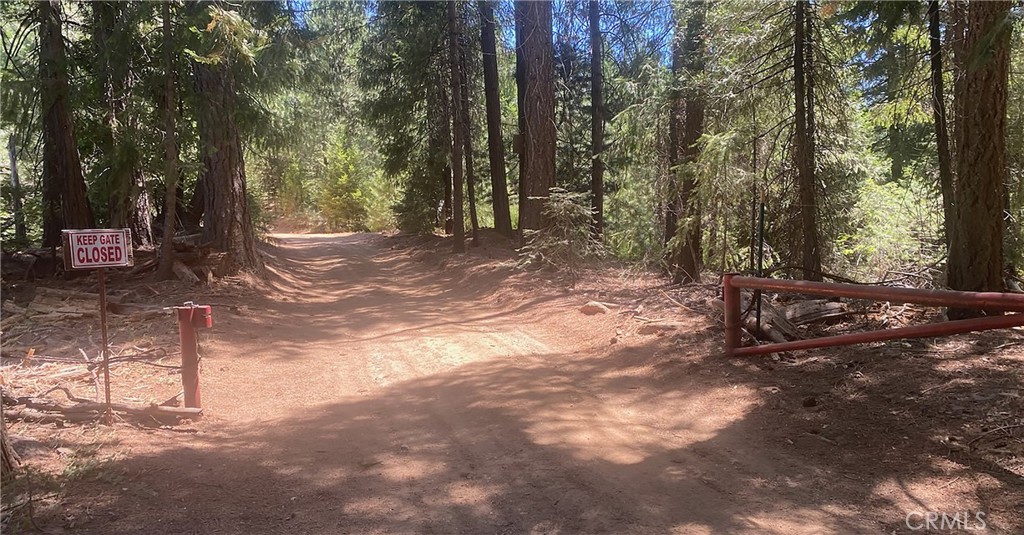 15052 Red Hill Spring Road Property Photo 5
