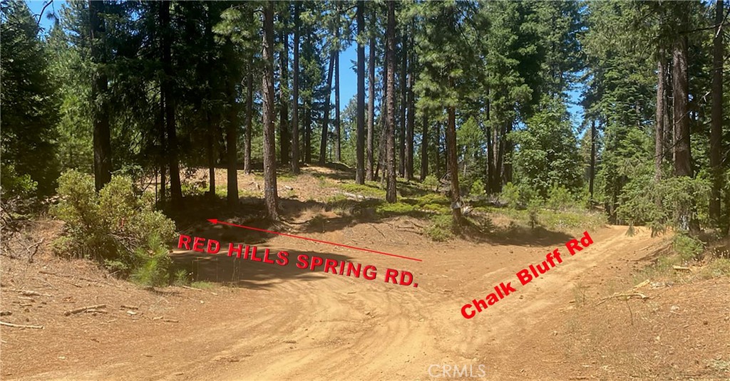 15052 Red Hill Spring Road Property Photo 6
