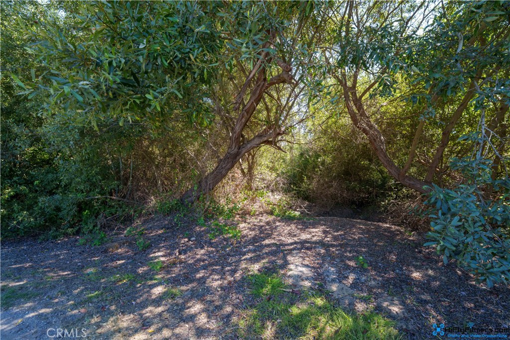 0 Palace Avenue Property Photo 6