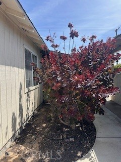 785 Miles Property Photo 39