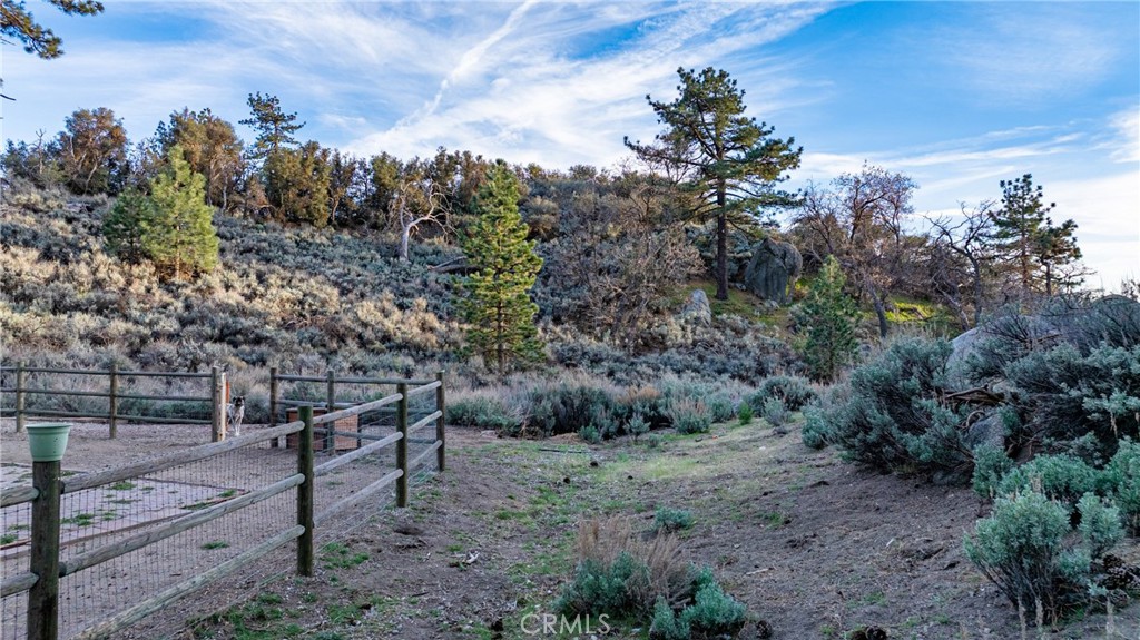 26820 Stirrup Property Photo 36