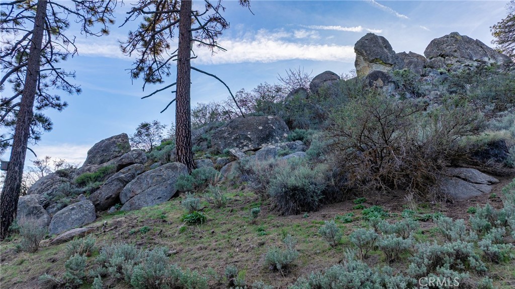 26820 Stirrup Property Photo 46