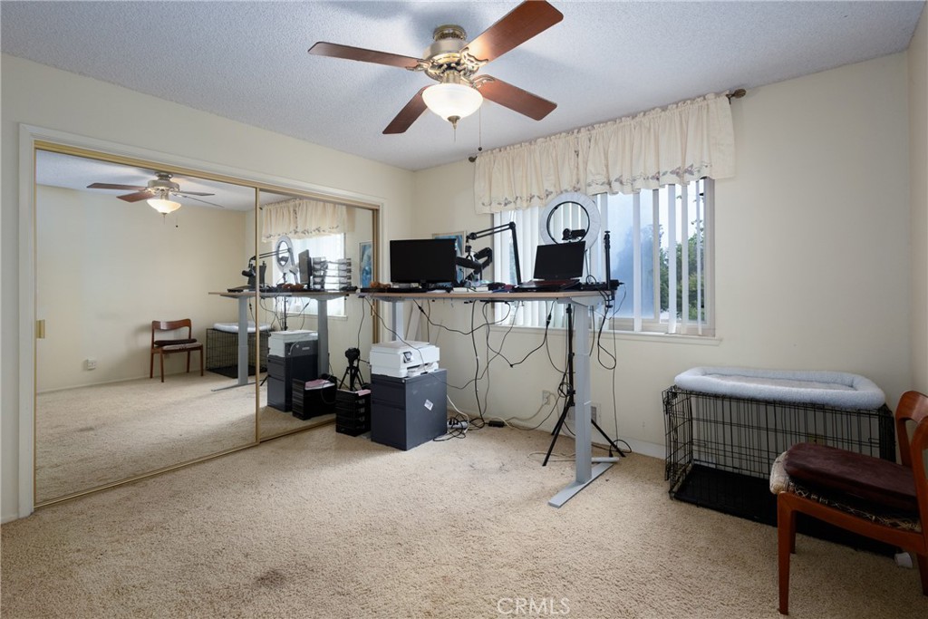 4551 Brighton Property Photo 30