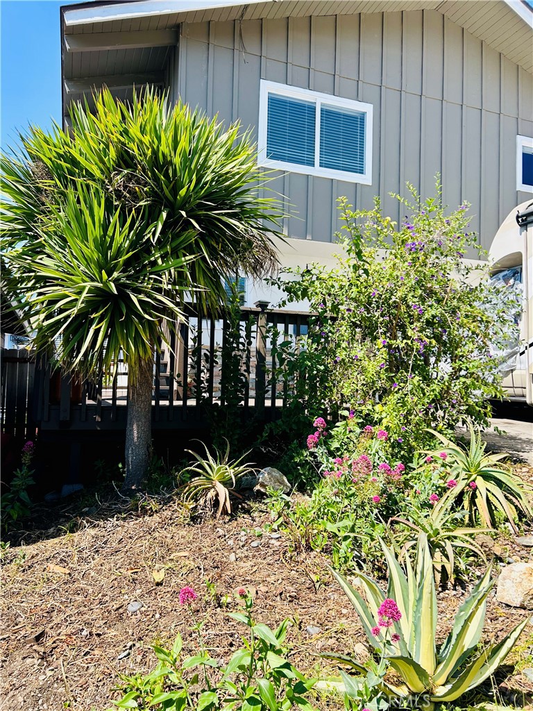 455 Orcas Property Photo 4
