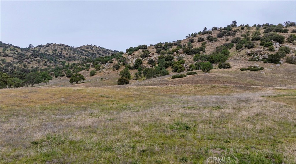0 Harness Drive Property Photo 6