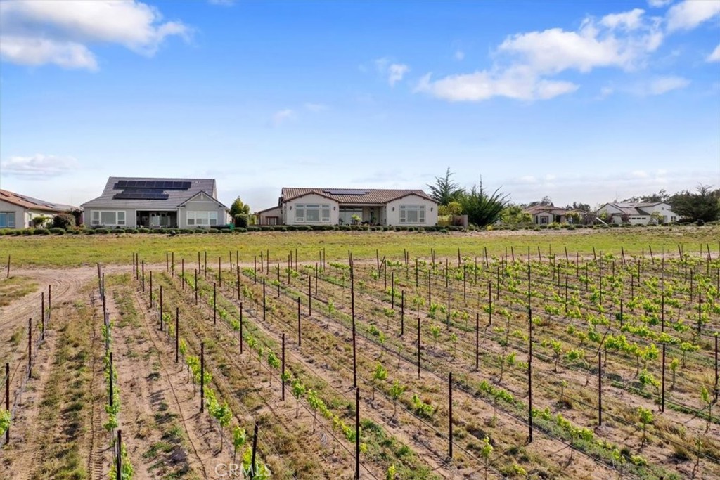 1564 Eucalyptus Property Photo 4