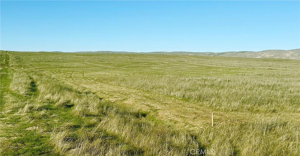 11790 Choctaw Trail Property Photo 4