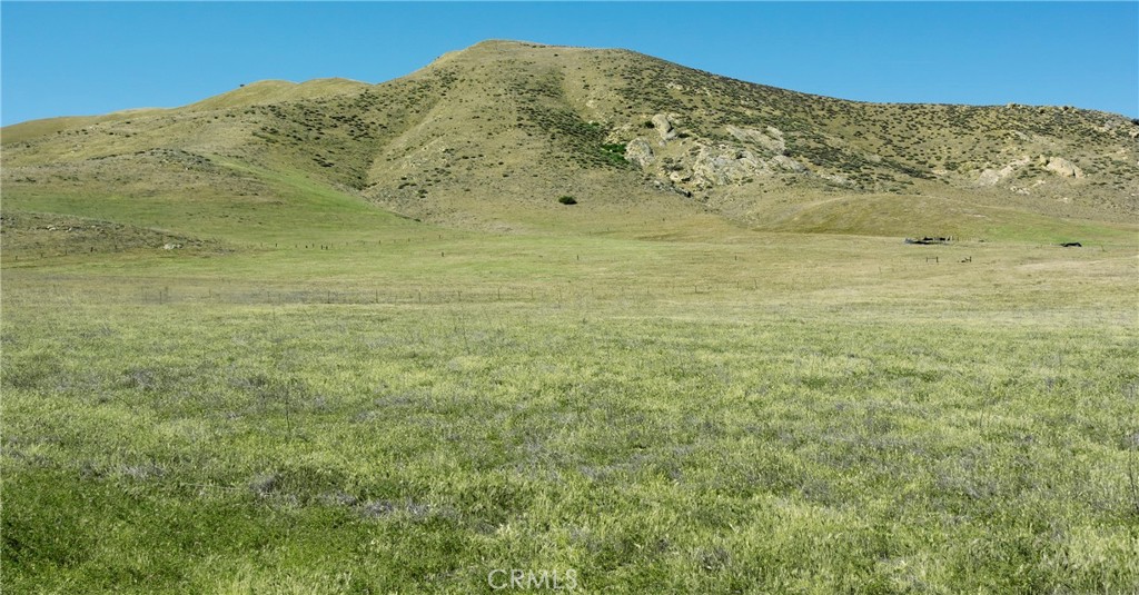 11900 Crest Park Trail Property Photo 4
