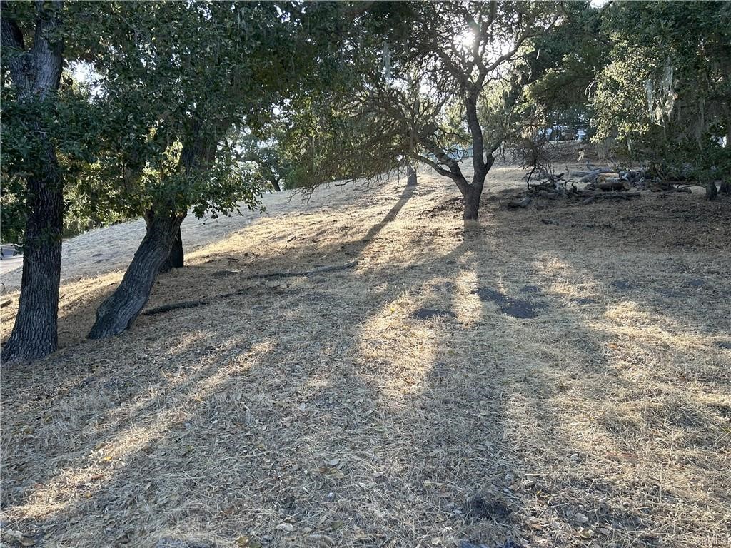5775 Encino