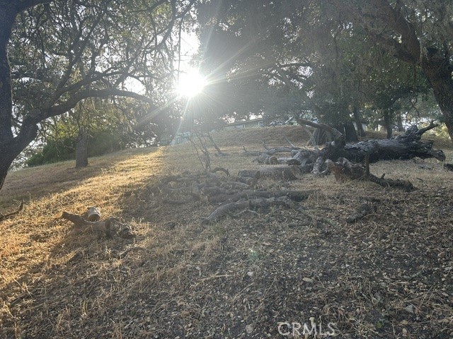 5775 Encino Property Photo 6