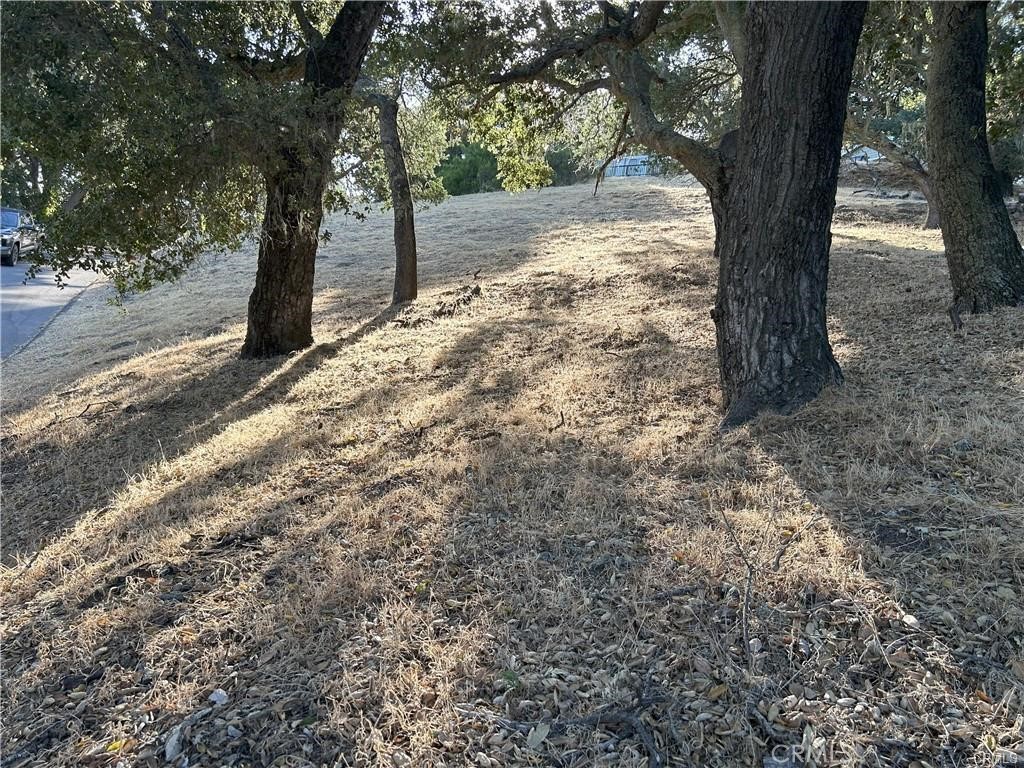 5775 Encino Property Photo 13