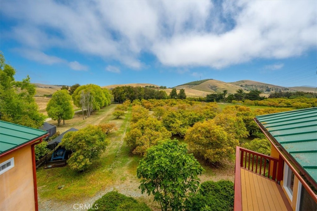 1301 Little Morro Creek Road Property Photo 63