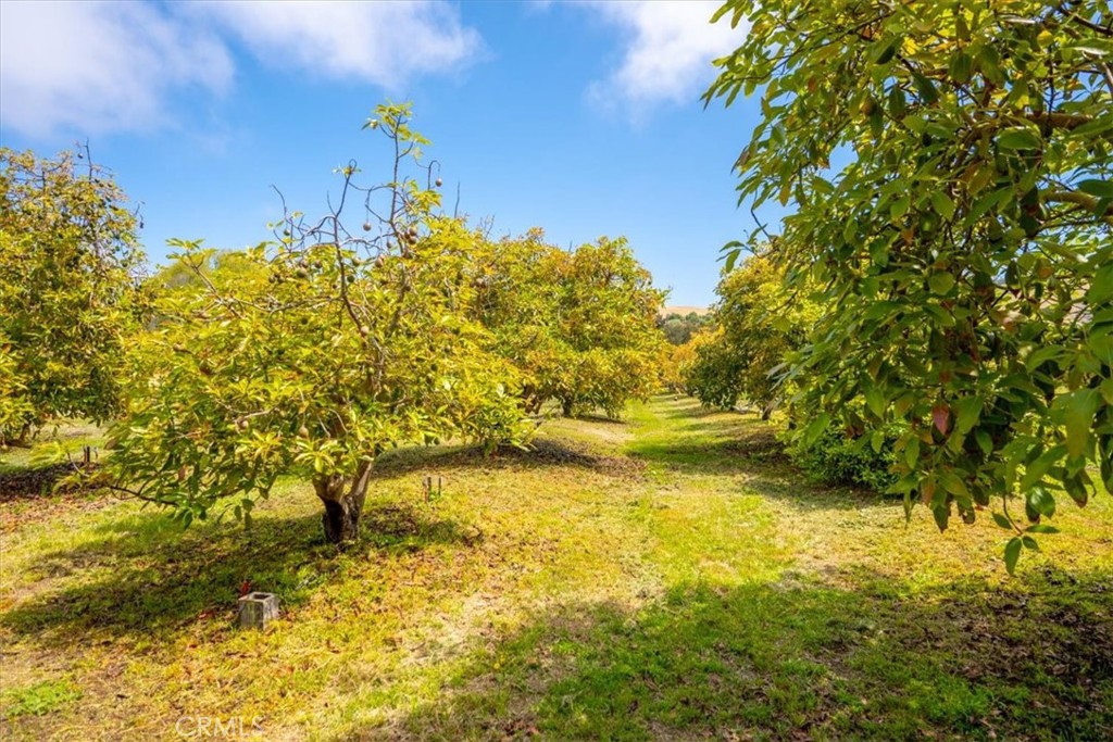 1301 Little Morro Creek Road Property Photo 65