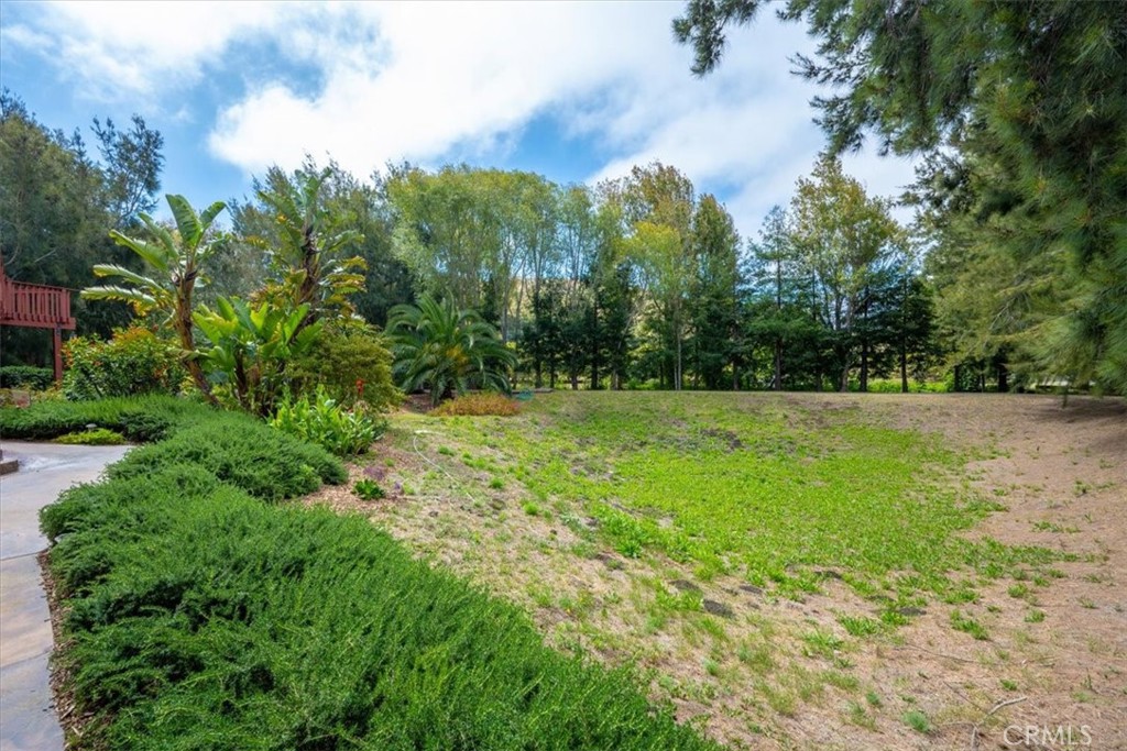 1301 Little Morro Creek Road Property Photo 68