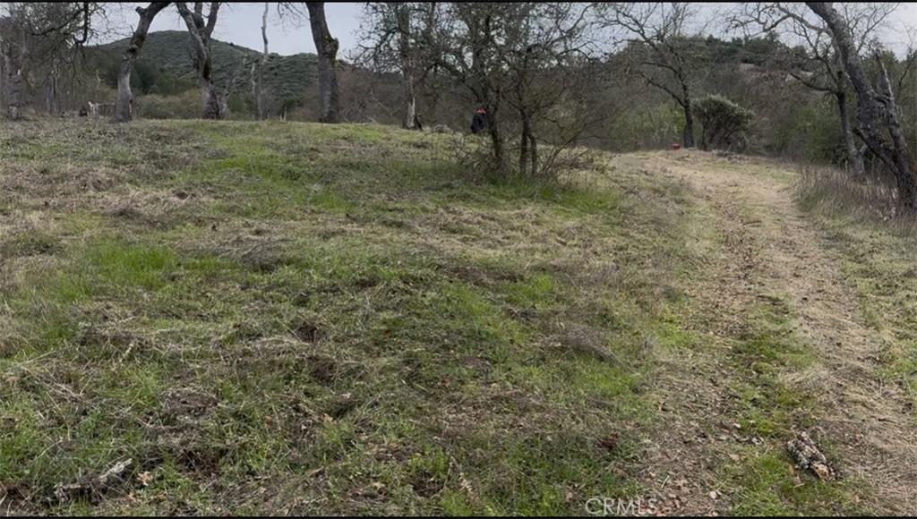 12760 El Camino Real Property Photo 4
