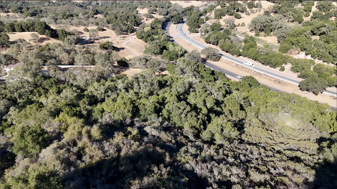 12760 El Camino Real Property Photo 5