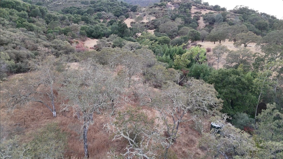 12760 El Camino Real Property Photo 6