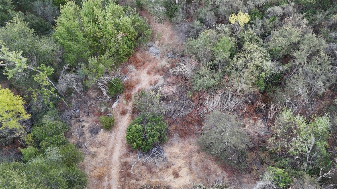 12760 El Camino Real Property Photo 8