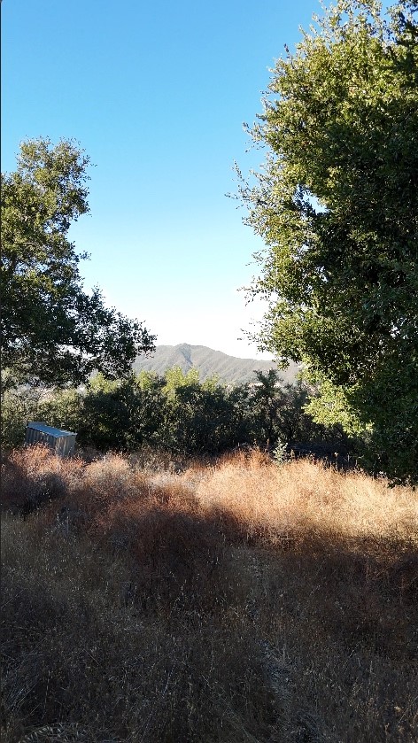 12760 El Camino Real Property Photo 10