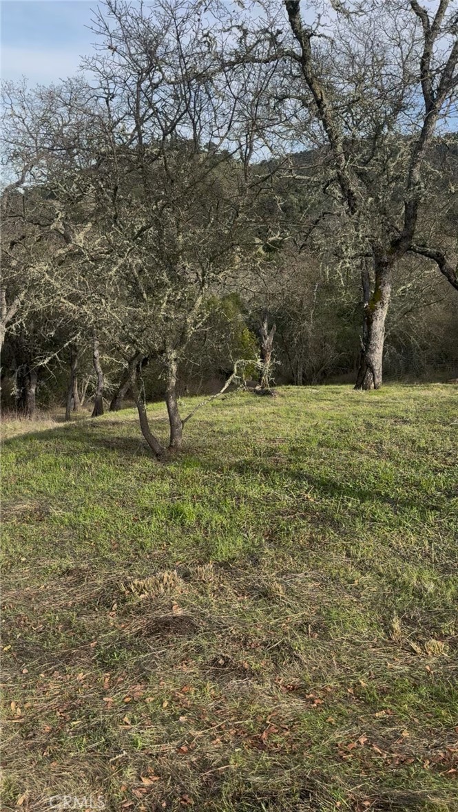 12760 El Camino Real Property Photo 20