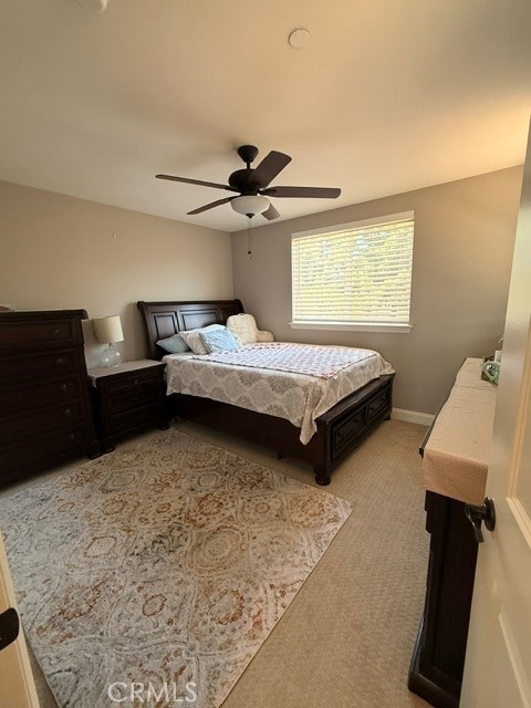 629 Agapanthus Property Photo 25