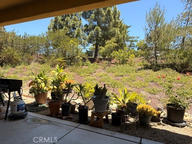 629 Agapanthus Property Photo 28